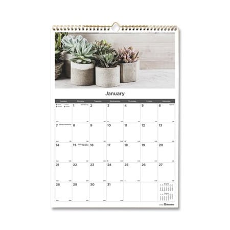 Rediformof Blueline, 12-MONTH WALL CALENDAR, 12 X 17, SUCCULENT PLANTS, 2021 C173121